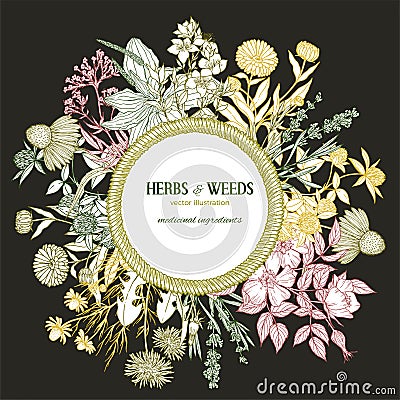 Dark background, vintage round rope wicker frame surrounded by medicinal herbs Vector Illustration
