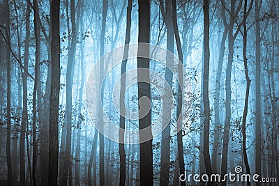 Dark blue spooky forrest with trees Stock Photo