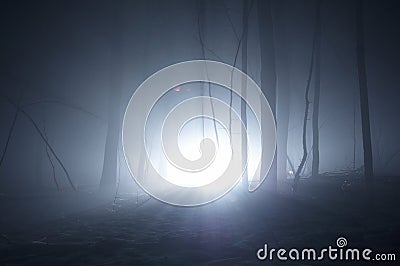 Dark blue spooky forrest with trees in fog Stock Photo