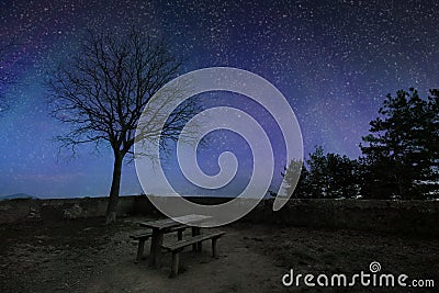 Dark blue starry sky with black tree silhouettes. Stock Photo