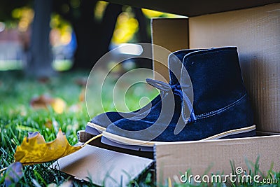 dark blue suede sneakers peeking out of a halfopen box Stock Photo