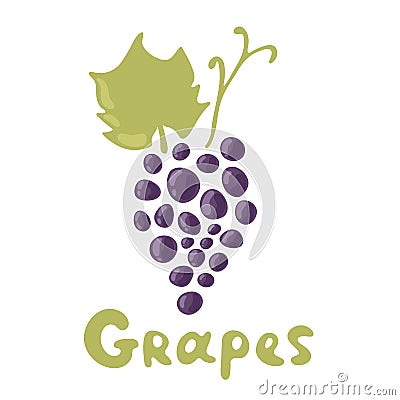 Dark blue or violet grapes illustration - stem and leaf isolated on white background. Grape cluster vector illustration Vector Illustration