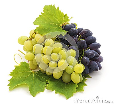 Dark and bright grapes. Stock Photo