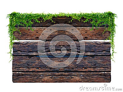 Dark brown antique plank frame background with tropical leaves and climbing vines on the edge of the plank Stock Photo