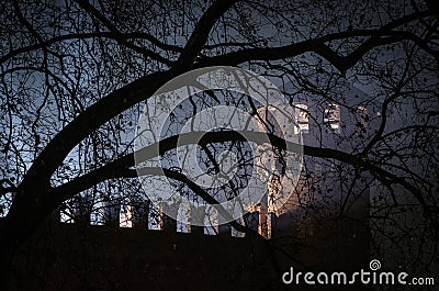 Dark Castle in the middle of the forest Stock Photo