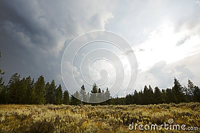 Dark clouds over sagebrush and pine trees, Jackson Hole, Wyoming. Stock Photo