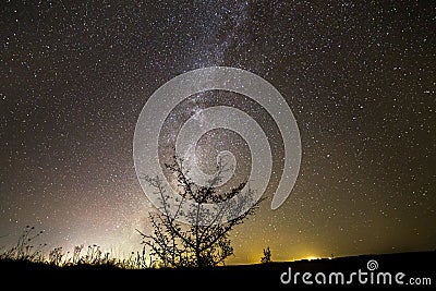 Dark contrast silhouette of tree on dark starry sky, Milky Way g Stock Photo