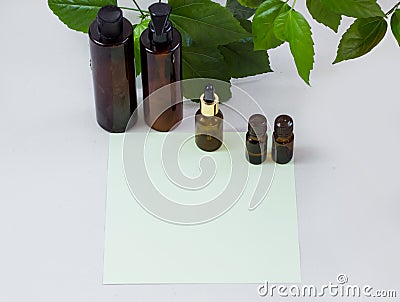 Dark cosmetic bottles and green natural leaves on a light background. Green empty card, sheet for writing. Layoutfor adding Stock Photo