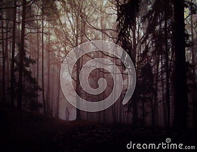 Dark creepy foggy forest Stock Photo