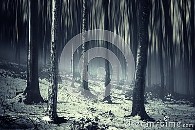 Dark creepy surreal forest with fog and snow Stock Photo