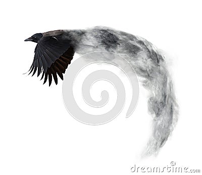 Dark crow flying from grey smoke isolated on white Stock Photo