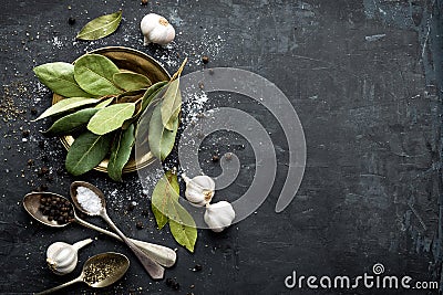 Dark culinary background with bay leaves, salt, pepper and garlic, view from above, copy space for recipe text Stock Photo