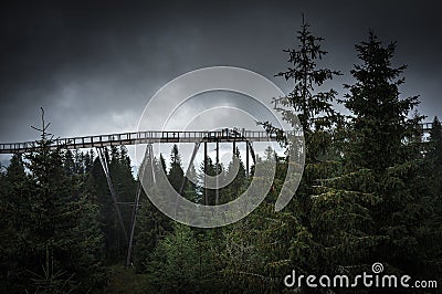 Dark dramatic sky over a treetop walkway in Bachledova dolina in Slovakia Editorial Stock Photo