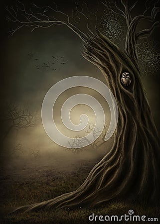 Dark forest Stock Photo