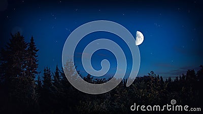 Dark Forest Night With Bright Big Moon And Stars - Beautiful Landscape Background Stock Photo