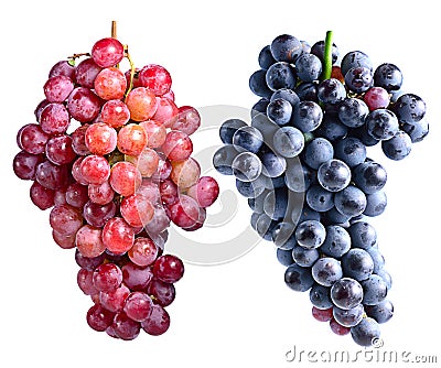 Dark grapes and red grapes isolated on white background Stock Photo