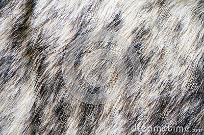 Fur texture Mink fur alpha Stock Photo