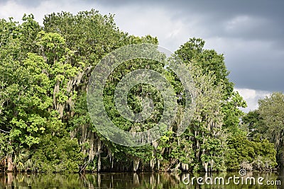 Dark Gray Storm Clouds Over the Bayou Stock Photo