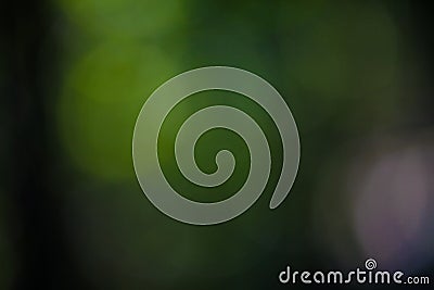 Dark Green and Black Abstract Background Blur Stock Photo