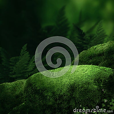 Dark magic forest Stock Photo