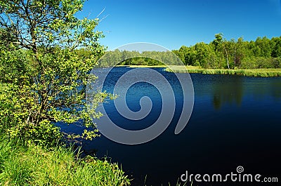 Dark moor lake in the green Stock Photo