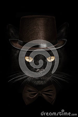 Dark muzzle cat in brown hat and tie butterfly Stock Photo