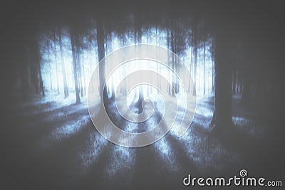 Mysterious moody forest Stock Photo