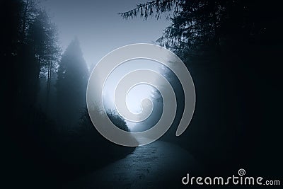 Dark and mysterious path Stock Photo