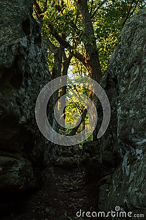 A dark and narrow path Stock Photo