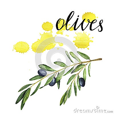 Olive tree branch with yellow backdrops. Hand drawn watercolor illustration. Cartoon Illustration