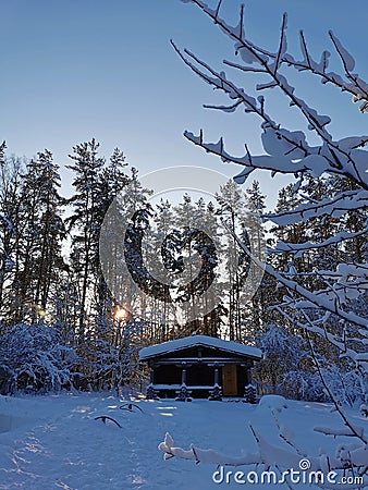 A dark one-story wooden house - a round log bathhouse in the snow among snow-covered trees against the backdrop of a winter sunset Stock Photo