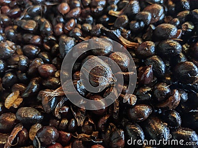 Dark palm kernal on a truck cargo Stock Photo