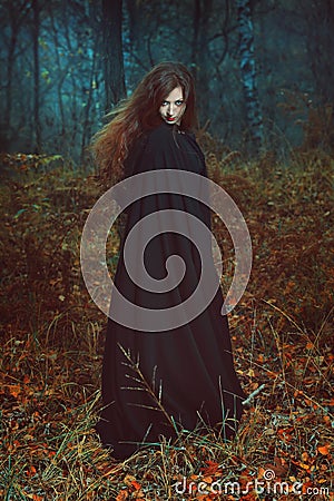Dark portrait of the forest keeper Stock Photo