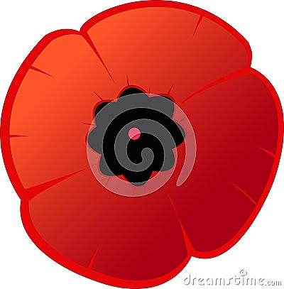 Dark red poppy flower Stock Photo