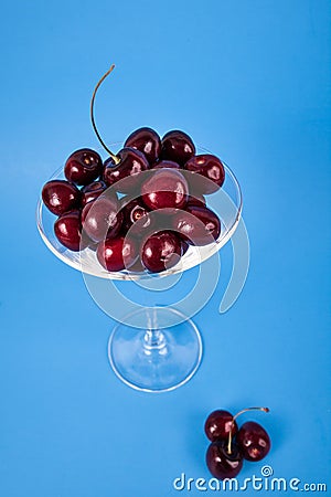 Dark red sweet cherries filled in martini glass on solid blue background Stock Photo