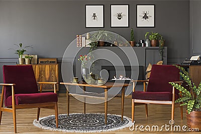 Dark red wooden armchairs in vintage flat interior with posters Stock Photo