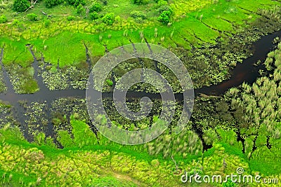 Dark river, aerial landscape in Okavango delta, Botswana. Lakes and rivers, view from airplane, UNESCO World Heritage site in Sout Stock Photo