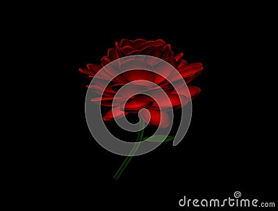 Dark Rose 3D Image, Beautiful Rose Illustration 3D Stock Photo