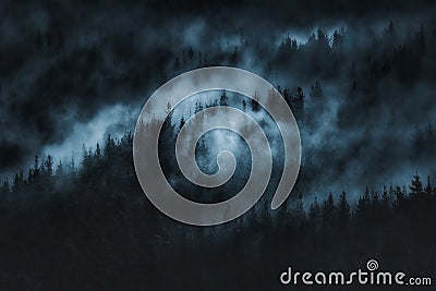 Dark scary forest with fog Stock Photo