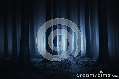 Dark and scary forest at night Stock Photo