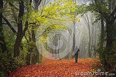 Dark silhouette in the forest Stock Photo