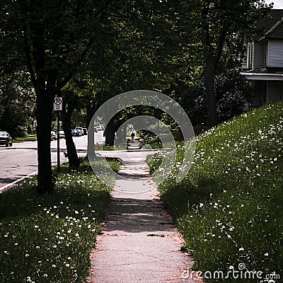 A sidewalk leading up to a silhouette of a person Stock Photo