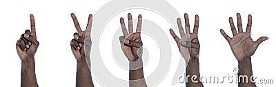 Dark-skinned hand counting Stock Photo