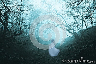 A dark, spooky forest with a ghostly woman in a white dress, on a foggy winters day. With an old artistic vintage edit Stock Photo