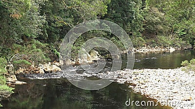 The black river in the tarkine rain forest of tasmania Stock Photo