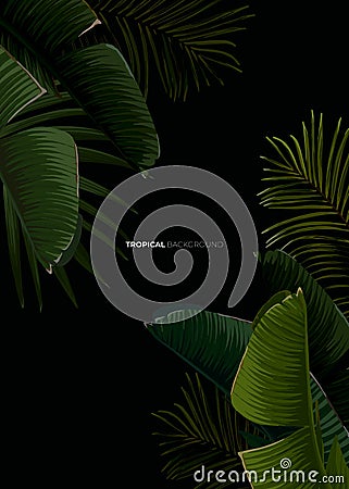 Dark tropical summer design with banana palm leaves, glowing frame and space for text. Vector flyer, banner or card Vector Illustration