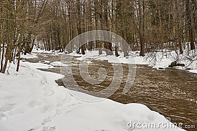 Dark water flowing in river in forest Stock Photo