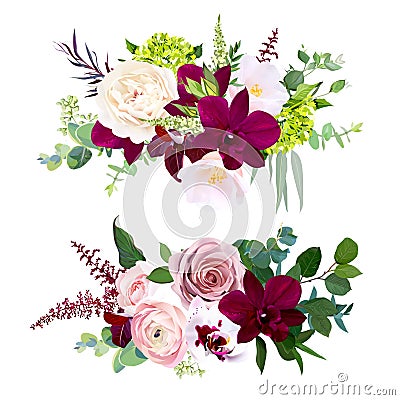 Dark and white orchid, garden dusty rose, ranunculus, pink camellia, green hydrangea Vector Illustration