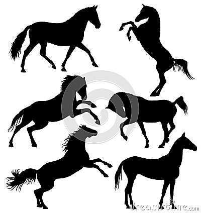 Dark wild horse, running horses vector silhouettes isolated on white background. Vector Illustration