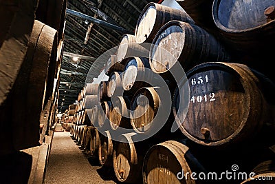 Dark wine cellar with numbered wooden barrels for traditional winemaking Stock Photo